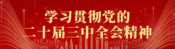 學(xué)習(xí)貫徹黨的二十屆三中全會(huì)精神