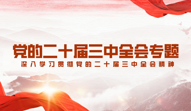 深入學(xué)習(xí)貫徹黨的二十屆三中全會精神