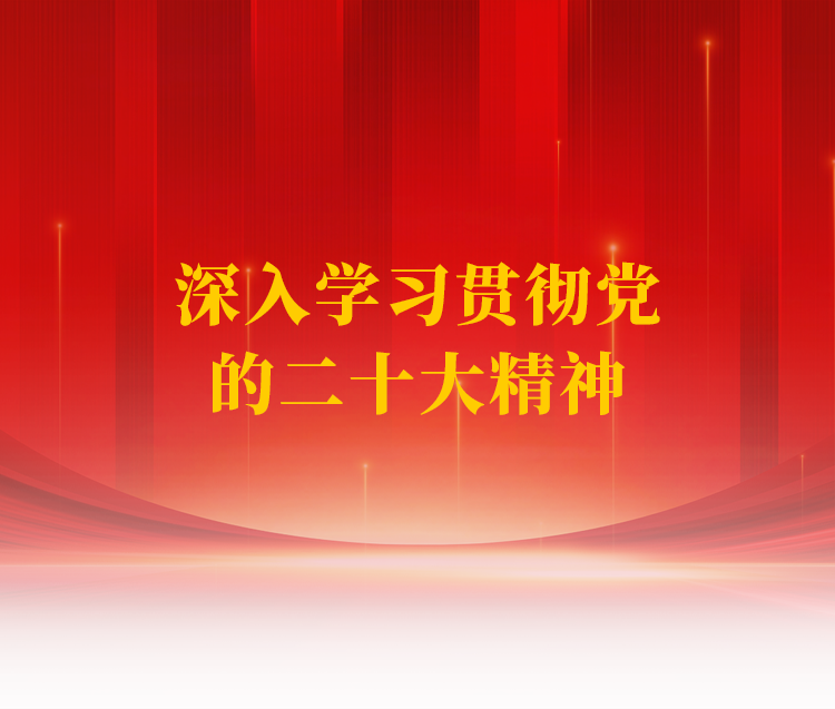 二十大專題頁(yè)
