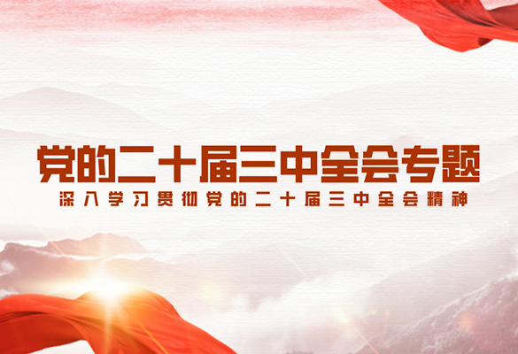 學(xué)習(xí)貫徹黨的二十屆三中全會(huì)精神專(zhuān)題